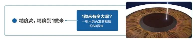 图片17