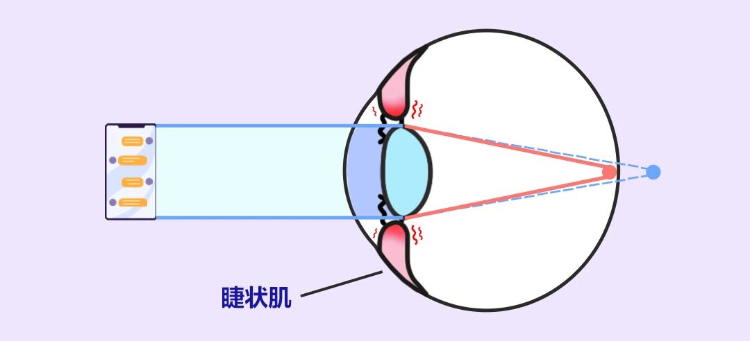 df10c15f-927d-4a92-a32a-d6be168db1d7.jpg